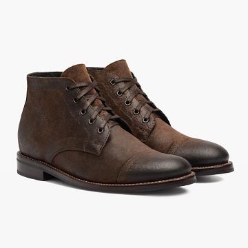 Thursday Boots Cadet Velúr Chukka Csizma Férfi Kávé | HU74JPQ