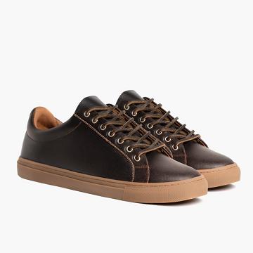 Thursday Boots Premier Low Tops Bőr Classic Tornacipő Férfi Barna | HU368OKI